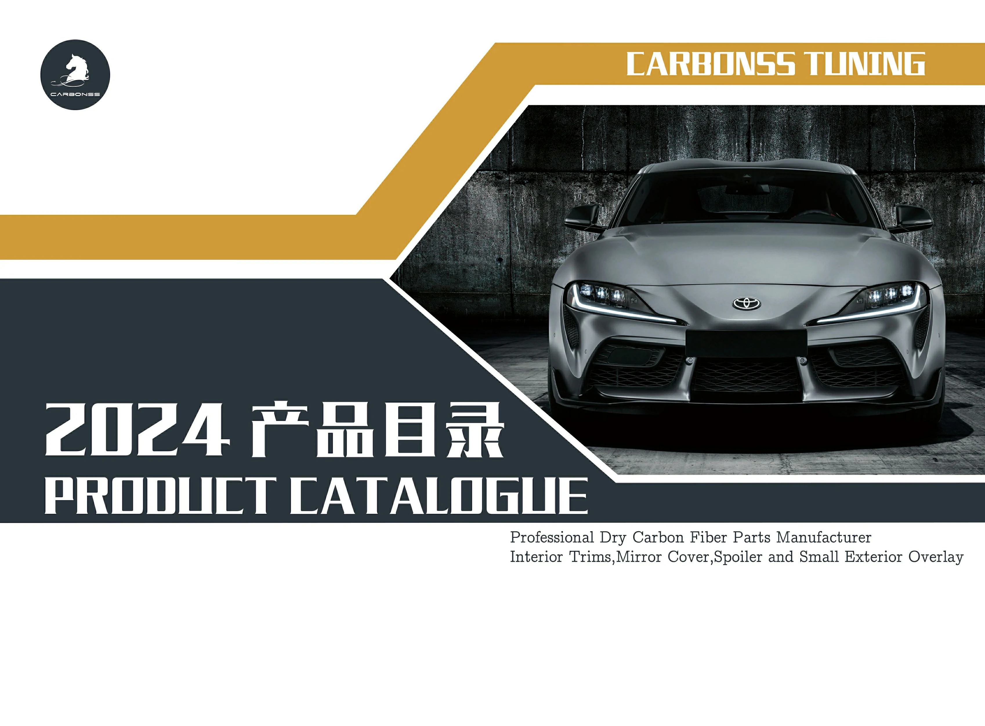dry carbonss tuning2024